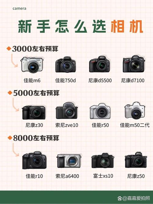 佳能650d和70d，佳能650d与700d-第1张图片-优品飞百科