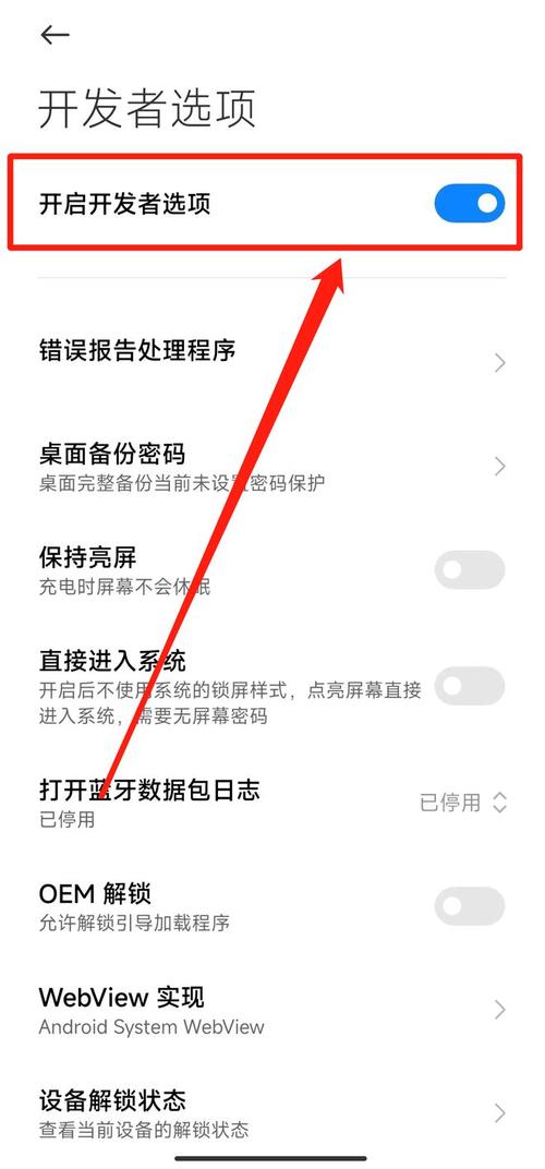 安卓开发者模式怎么开，安卓开发者模式开启工具？-第3张图片-优品飞百科