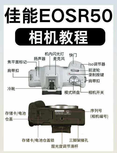 佳能50d手动对焦，佳能50d手动对焦怎么设置-第6张图片-优品飞百科