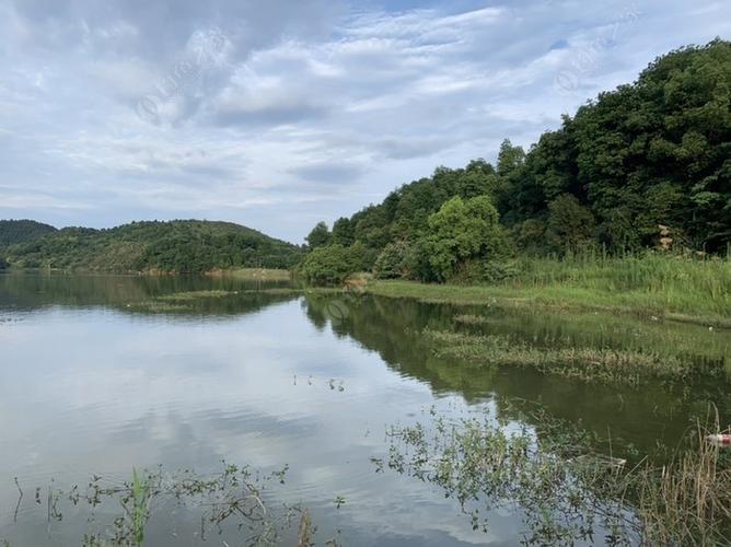 龙门水库今日天气？龙门水库开放了吗？-第3张图片-优品飞百科