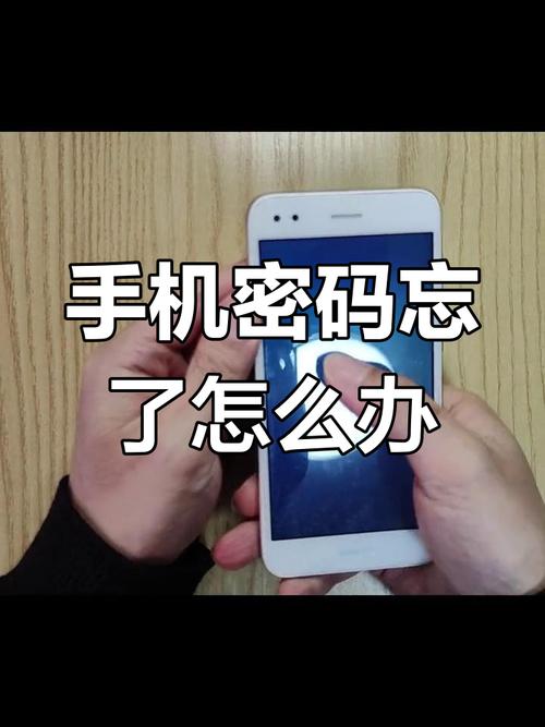 锤子坚果pro3忘记密码怎么办？锤子坚果pro3忘记密码怎么办呢？-第4张图片-优品飞百科