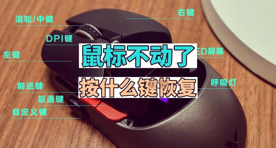 没有键盘驱动怎么安装，没有键盘如何安装系统？