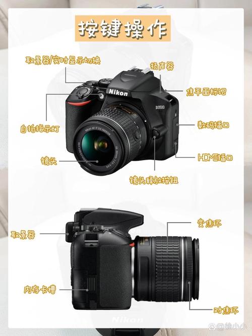 尼康哪款相机性价比高？尼康哪款相机经济实惠？-第2张图片-优品飞百科