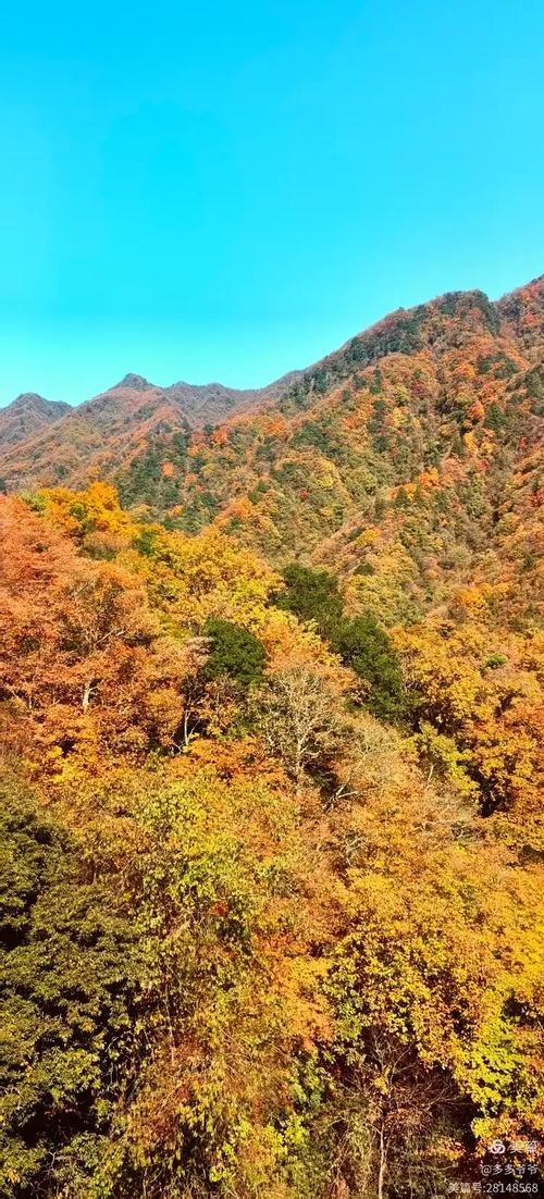 巴中今日实时天气,巴中今明天天气-第1张图片-优品飞百科 巴中今日实时天气,巴中今明天天气-第1张图片-优品飞百科