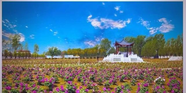 今日早上方城天气，今天天气方城-第2张图片-优品飞百科