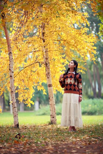 用佳能5d2相机拍摄,佳能5d2拍摄视频教程-第4张图片-优品飞百科 用佳能5d2相机拍摄,佳能5d2拍摄视频教程-第4张图片-优品飞百科