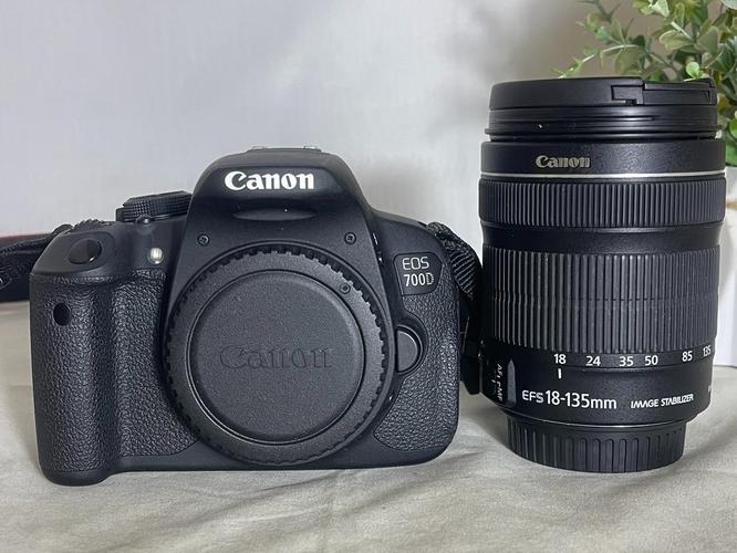 佳能750d有翻转屏吗，佳能750d有翻转屏吗怎么设置-第4张图片-优品飞百科