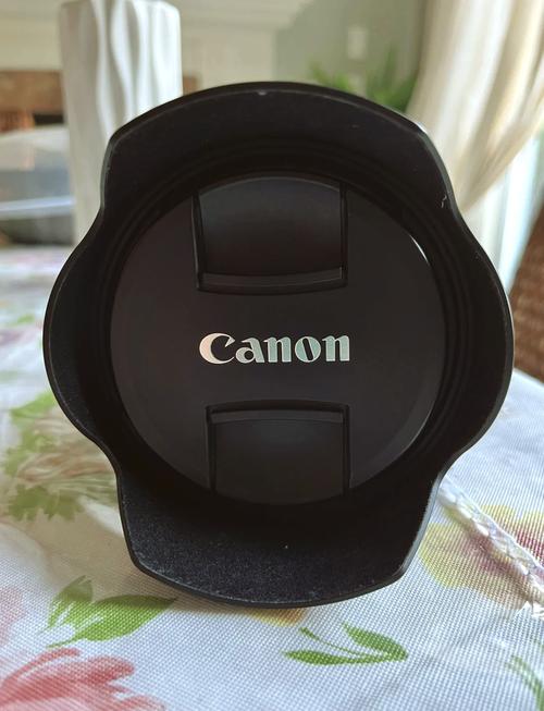 佳能ef口广角镜头，佳能10～18广角镜头？-第2张图片-优品飞百科