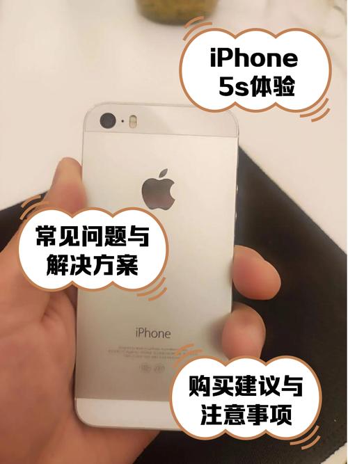 5s刷机多少钱，5s刷机失败怎么处理-第4张图片-优品飞百科