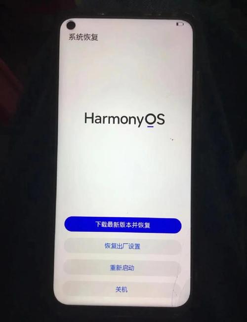 华为青春版10可以升级鸿蒙系统吗，华为青春版10是双卡双待吗-第1张图片-优品飞百科