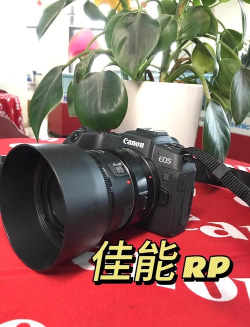 佳能rp有没有机身防抖?佳能rp电子防抖?-第4张图片-优品飞百科 佳能rp有没有机身防抖?佳能rp电子防抖?-第4张图片-优品飞百科