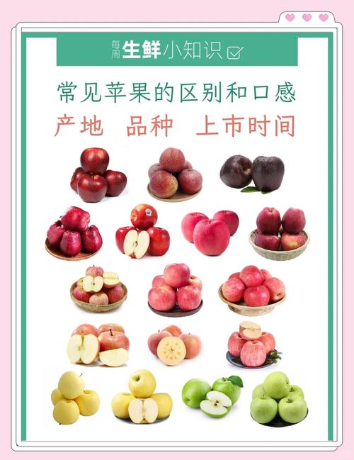 苹果的功效与作用百科？苹果的功效与作用百度百科？-第2张图片-优品飞百科