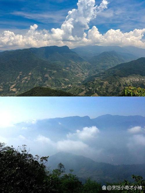 天保口岸今日天气,天保口岸疫情防控-第1张图片-优品飞百科 天保口岸今日天气,天保口岸疫情防控-第1张图片-优品飞百科