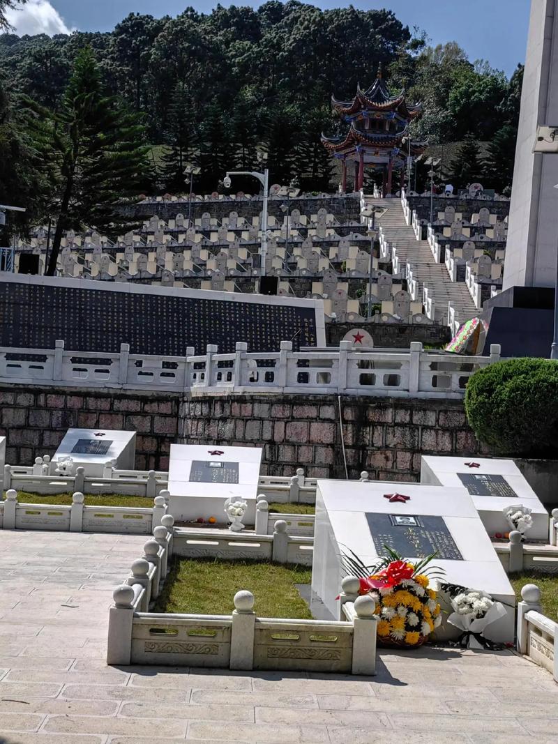 天保口岸今日天气,天保口岸疫情防控-第3张图片-优品飞百科 天保口岸今日天气,天保口岸疫情防控-第3张图片-优品飞百科