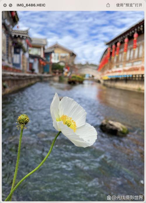 超广角镜头怎么选？超广角镜头横评？