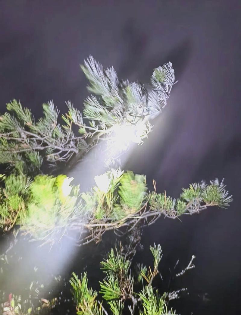 今日泉州市天气预，今日泉州市天气预报-第4张图片-优品飞百科