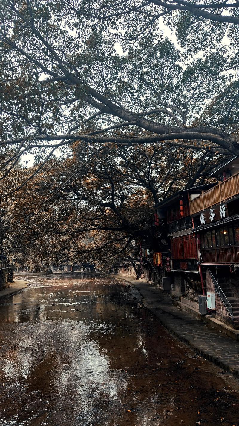 偏岩古镇今日天气?偏岩古镇一日游最佳路线?-第3张图片-优品飞百科 偏岩古镇今日天气?偏岩古镇一日游最佳路线?-第3张图片-优品飞百科