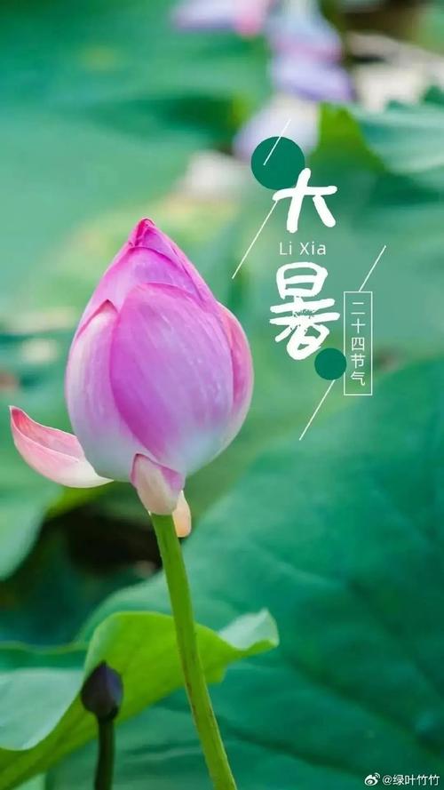 今日广安天气晴冷,今日广安气温-第1张图片-优品飞百科 今日广安天气晴冷,今日广安气温-第1张图片-优品飞百科