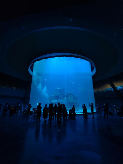 海上世界今日天气,海上世界今日天气怎么样-第4张图片-优品飞百科 海上世界今日天气,海上世界今日天气怎么样-第4张图片-优品飞百科