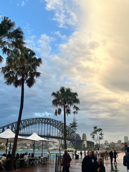 悉尼今日天气最新，悉尼今日天气最新消息？-第3张图片-优品飞百科