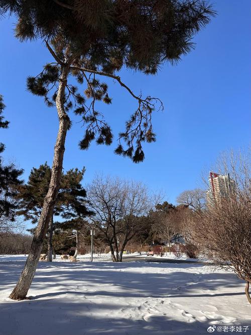 长春天气今日详情？长春天气今日天气？-第5张图片-优品飞百科