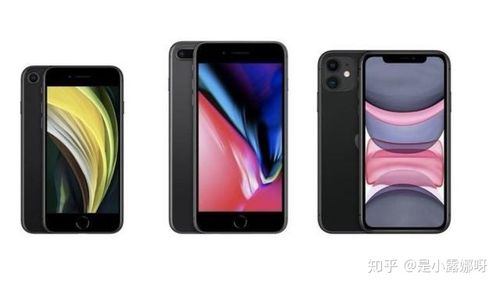 iphone3se最新官方消息？苹果se3最新官方消息？