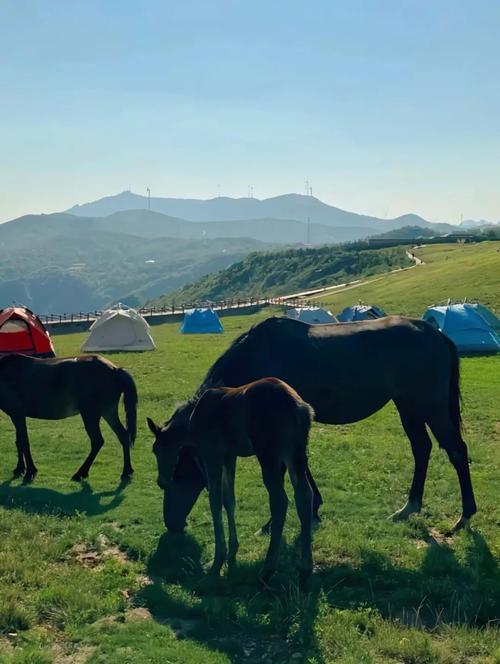 小马高原今日天气，小马的天气-第1张图片-优品飞百科