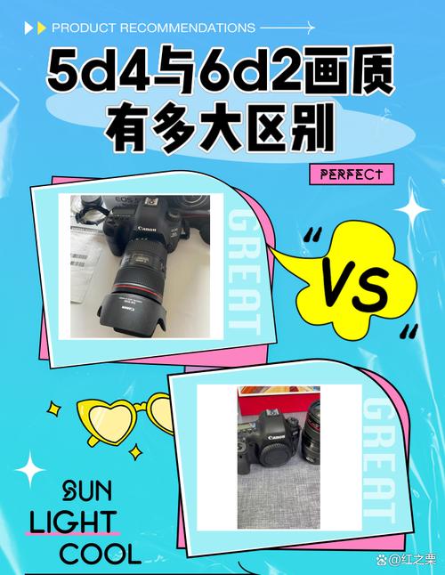 佳能5d2与6d选哪个好，佳能5d2好还是6d-第3张图片-优品飞百科