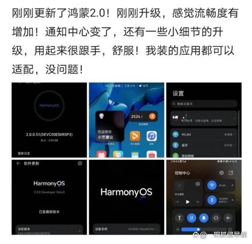荣耀v30pro怎么升级鸿蒙系统吗？荣耀v30pro能不能升级鸿蒙系统？-第2张图片-优品飞百科