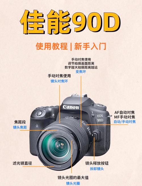 佳能相机哪款好新手入门二手，佳能入门级二手单反推荐？-第3张图片-优品飞百科