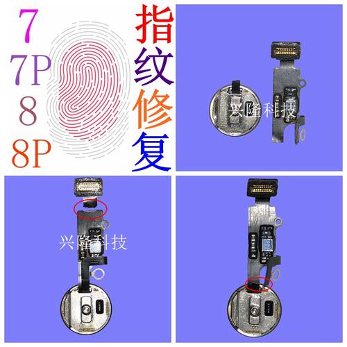 苹果8的home键能按下去吗，iphone8的home键会按坏吗？-第3张图片-优品飞百科