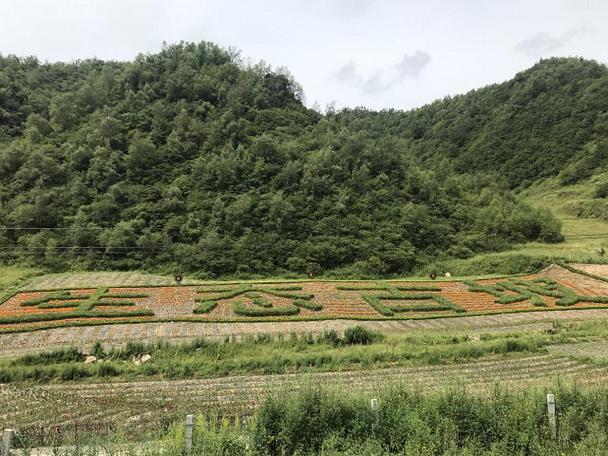 今日甘谷天气情况，今日甘谷天气情况怎么样？-第1张图片-优品飞百科