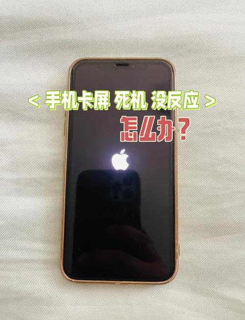 苹果7屏幕失灵怎么强制关机，苹果7屏幕失灵怎么强制关机重启-第6张图片-优品飞百科