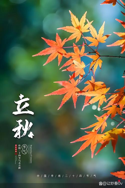 今日立秋天气消息，今日立秋今日立秋图片大全-第1张图片-优品飞百科