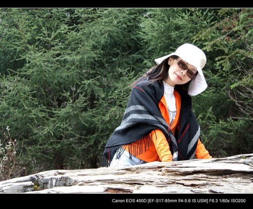 佳能450d拍人像参数，佳能450d单反相机怎么样？-第1张图片-优品飞百科