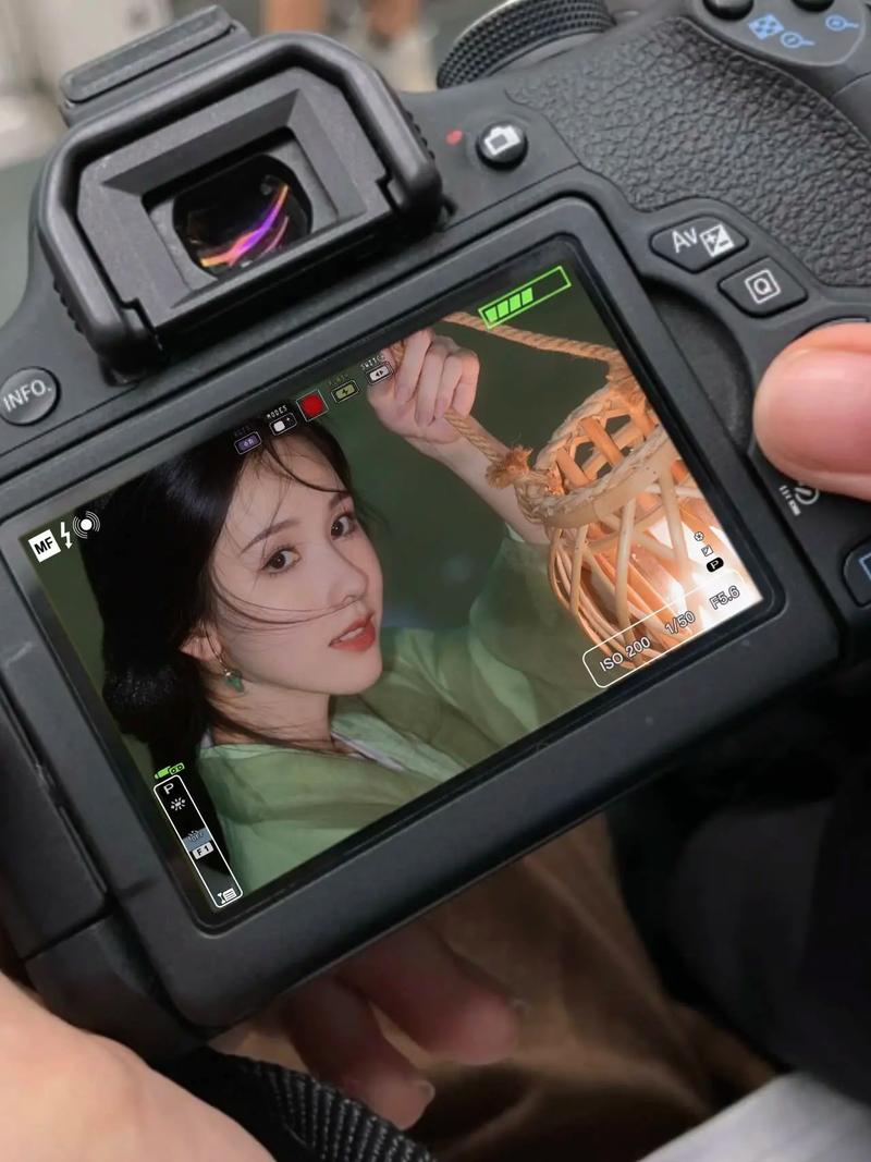 佳能450d拍人像参数，佳能450d单反相机怎么样？-第3张图片-优品飞百科