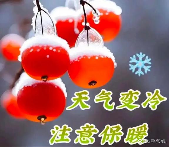 今日天气早安高级？每天天气预报早安心语在哪弄？-第1张图片-优品飞百科