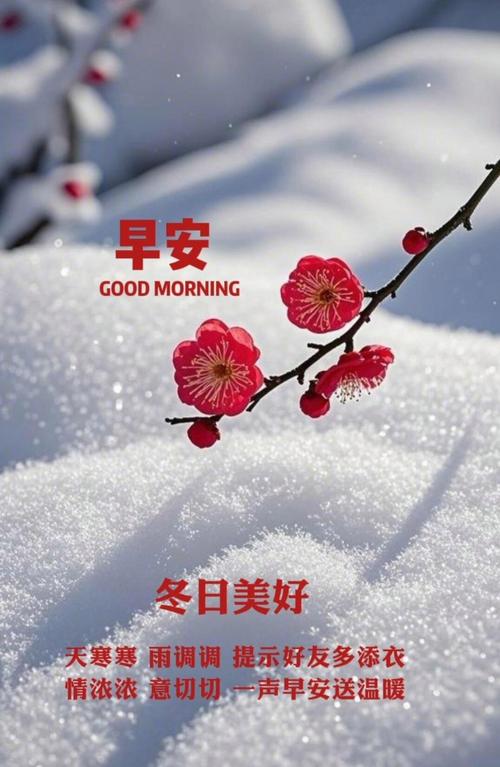 今日天气早安高级？每天天气预报早安心语在哪弄？-第2张图片-优品飞百科