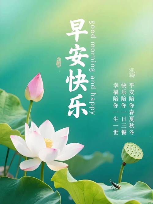 今日天气早安高级？每天天气预报早安心语在哪弄？-第3张图片-优品飞百科