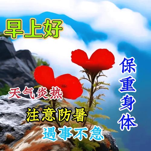 今日天气早安高级？每天天气预报早安心语在哪弄？-第6张图片-优品飞百科