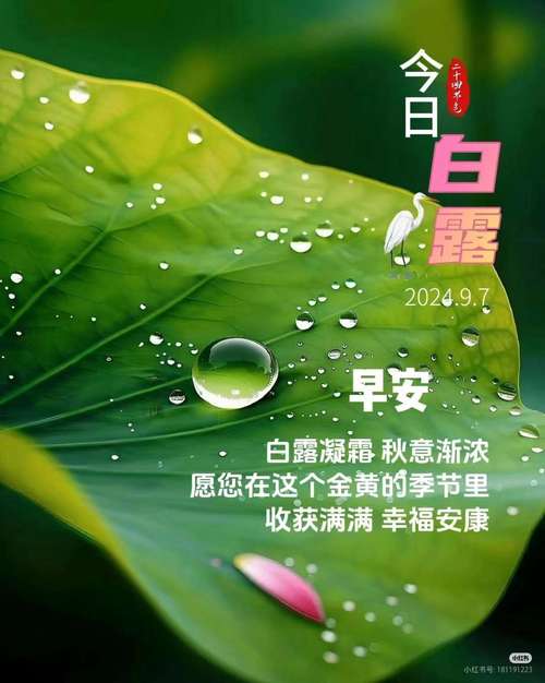 今日白露天气凉爽，今天白露是怎么解释？-第3张图片-优品飞百科