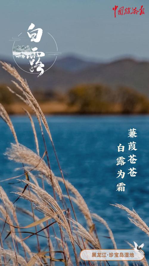 今日白露天气凉爽，今天白露是怎么解释？-第6张图片-优品飞百科