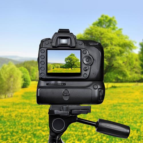 摄影入门先ccd还是微单，摄影入门是微单还是单反好-第1张图片-优品飞百科