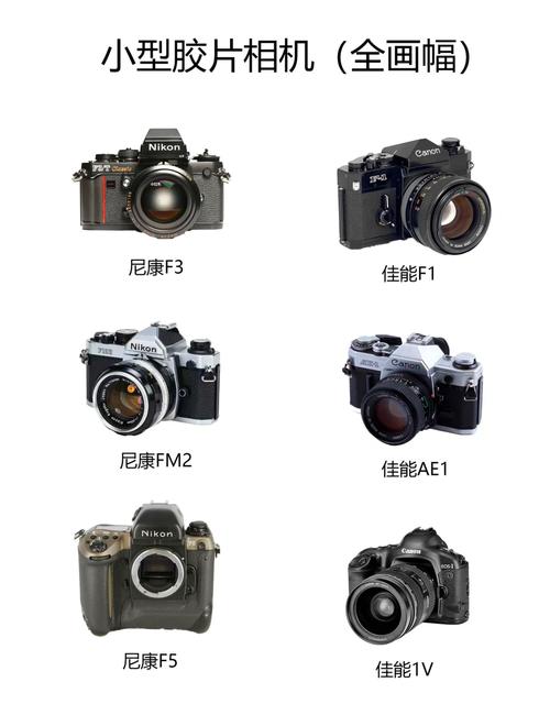 摄影入门先ccd还是微单，摄影入门是微单还是单反好-第2张图片-优品飞百科