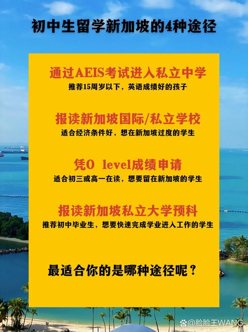 新加坡无线网卡多少钱，新加坡无线网卡多少钱一个-第6张图片-优品飞百科