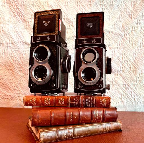 双反相机使用方法？双反相机使用教程？-第3张图片-优品飞百科