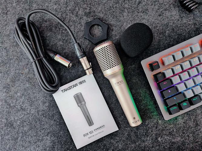 得胜麦克风怎么连接电脑，得胜麦克风安装教程-第2张图片-优品飞百科