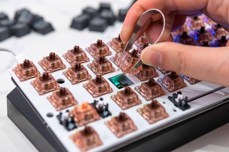 关于雷蛇黑寡妇什么时候出的的信息-第5张图片-优品飞百科