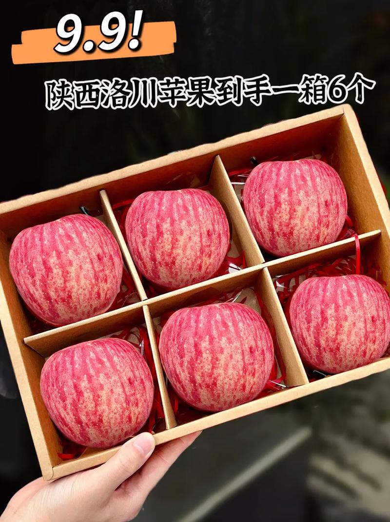 苹果5元一个贵吗？苹果5元一斤贵吗？-第2张图片-优品飞百科