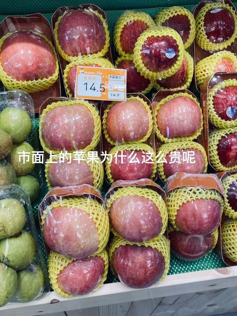 苹果5元一个贵吗？苹果5元一斤贵吗？-第3张图片-优品飞百科